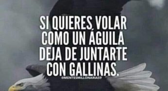 Meme de VOX: “Si quieres volar como un águila, deja de juntarte con gallinas”