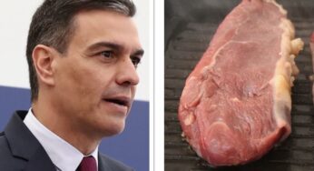 ¿Por qué Pedro Sánchez no se atreve a prohibir la carne en España?